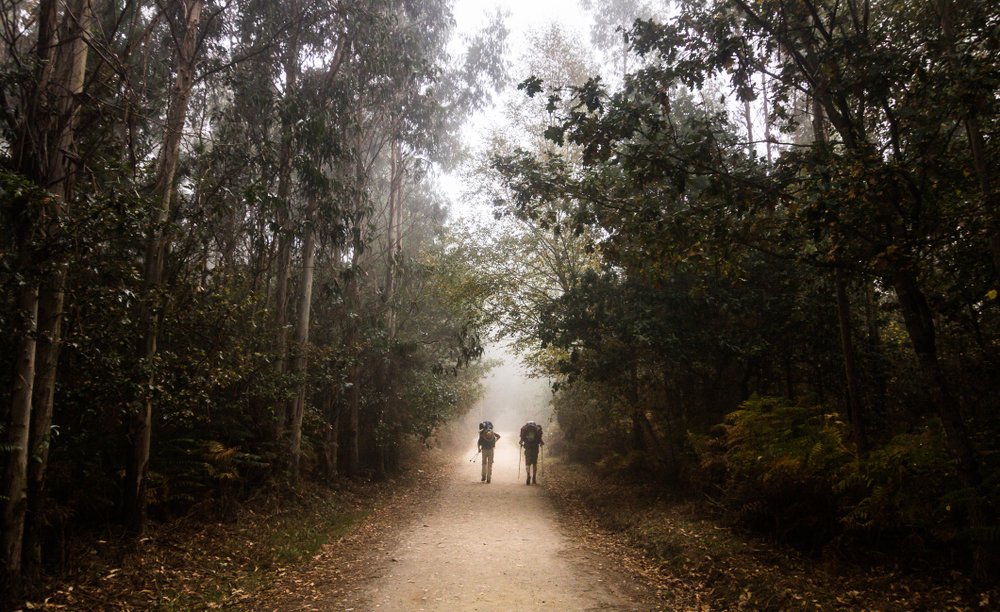 Dos peregrinos recorren una parte del Camino de Santiago