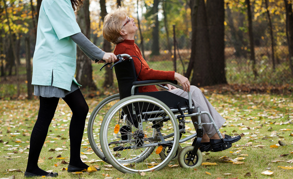 Una mujer cuida de una mujer mayor en silla de ruedas en un parque