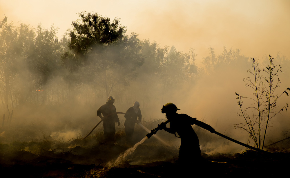 Varios bomberos trabajan para apagar un incendio forestal