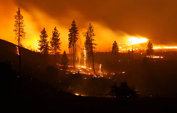 Fotografía de un incendio forestal