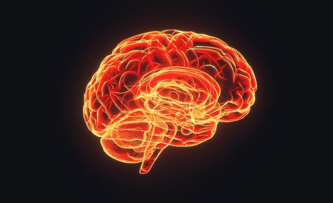 Dibujo de un holograma de un cerebro representando la inteligencia artificial