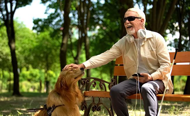 Un hombre ciego sentado en un banco de un parque acaricia a su perro