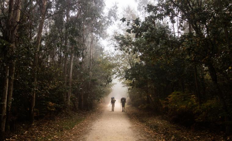 Dos peregrinos recorren una parte del Camino de Santiago