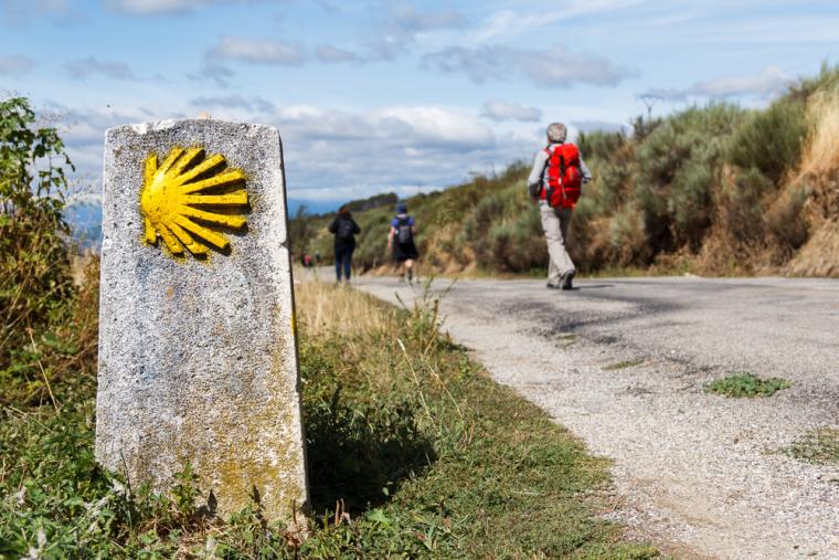 Varias personas recorren parte del Camino de Santiago