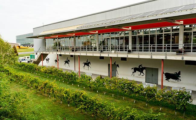 Fotograf&iacute;a del exterior de la escuela de hosteler&iacute;a de Leioa