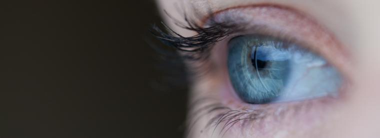 Fotograf&iacute;a de un ojo