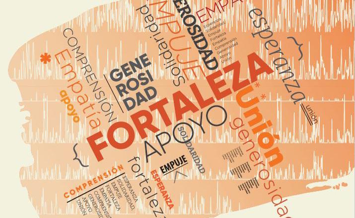 Imagen del cartel dise&ntilde;ado por Fiapas