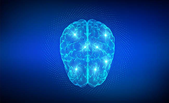 Infograf&iacute;a que representa las conexiones en el cerebro