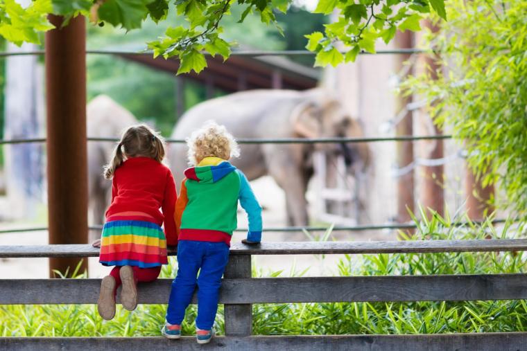 Dos ni&ntilde;os juegan en un zoo